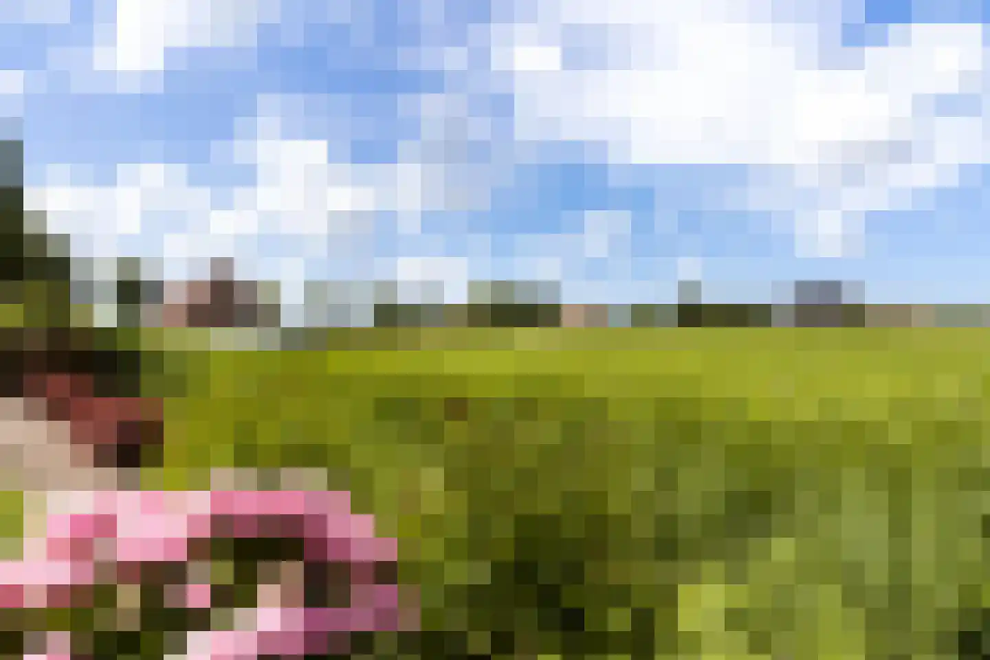 Ekersein 6 Hijum thumbnail 34