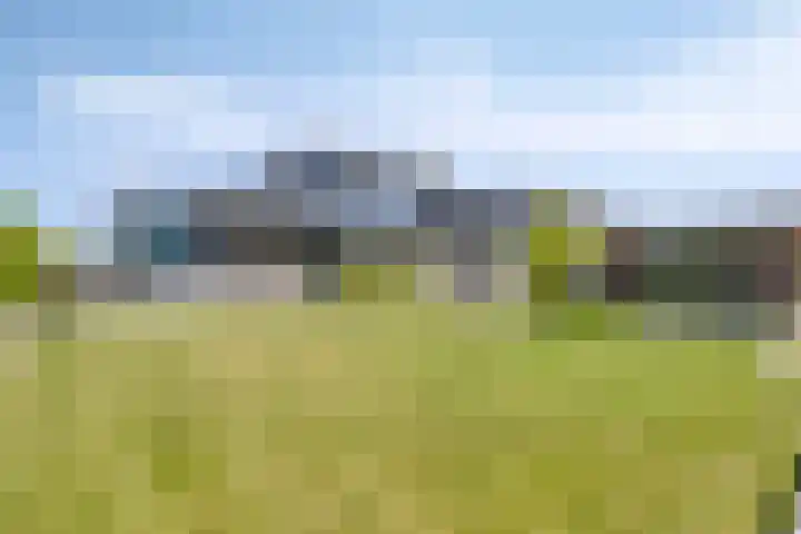 Ekingen 8 Kamperland foto 2