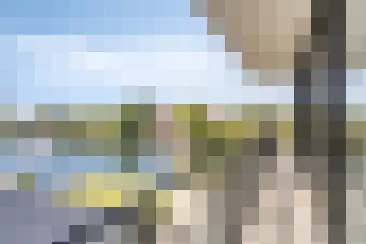 Ekingen 8 Kamperland thumbnail 33