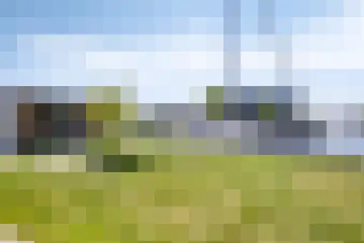 Ekingen 8 Kamperland thumbnail 39