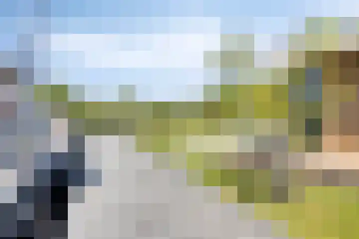 Ekingen 8 Kamperland thumbnail 40