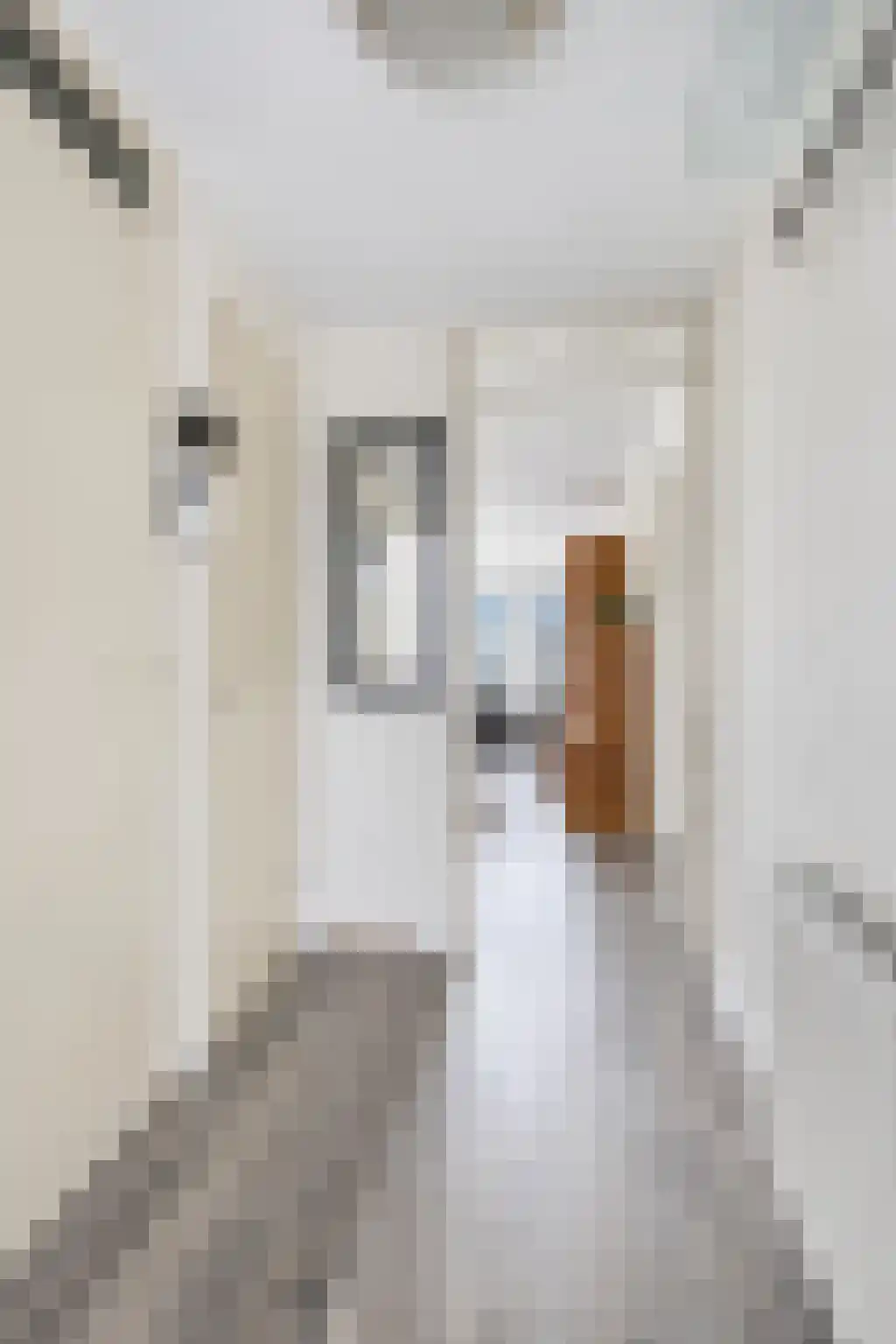 Ekingenstraat 110 Amsterdam thumbnail 11