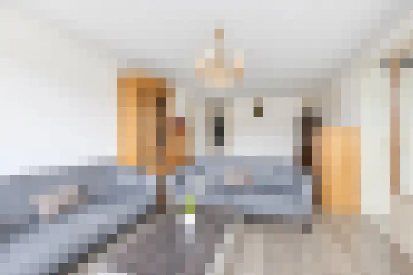 Ekingenstraat 110 Amsterdam thumbnail 14