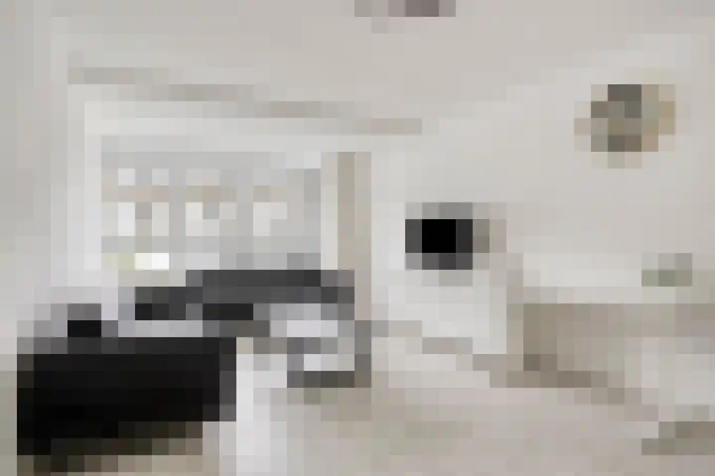 Ekingenstraat 188 Amsterdam thumbnail 9