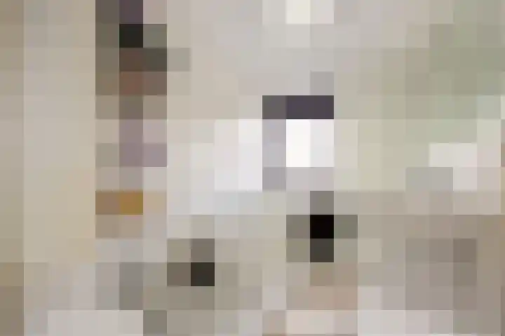 Ekke Kleimahof 12 Winsum thumbnail 14