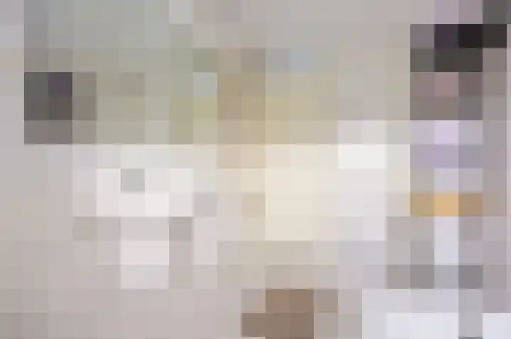 Ekke Kleimahof 12 Winsum thumbnail 15