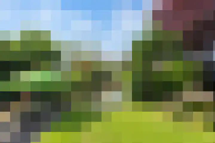 Ekke Kleimahof 12 Winsum thumbnail 20