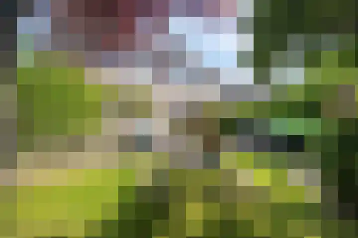 Ekke Kleimahof 12 Winsum thumbnail 22