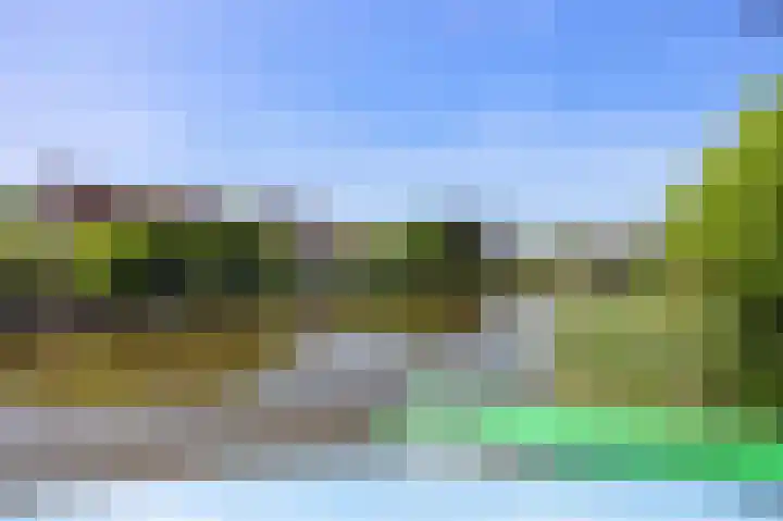 Ekke Kleimahof 12 Winsum thumbnail 28