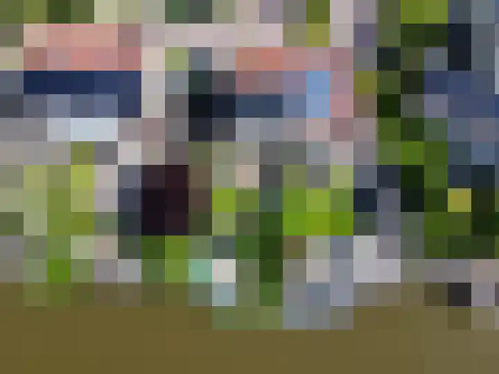 Ekke Kleimahof 12 Winsum thumbnail 29