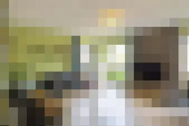Ekke Kleimahof 12 Winsum foto 3