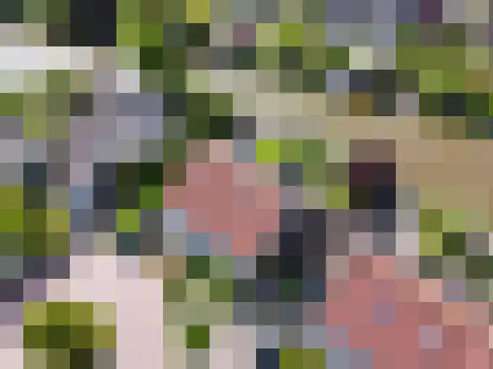 Ekke Kleimahof 12 Winsum thumbnail 31