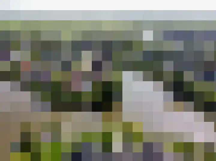Ekke Kleimahof 12 Winsum thumbnail 32