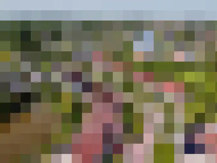 Ekke Kleimahof 12 Winsum thumbnail 33