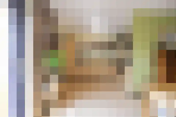 Ekke Kleimahof 12 Winsum thumbnail 9