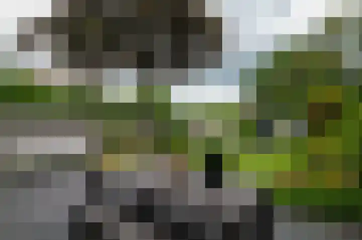 Ekkelwal 1 Assen thumbnail 26