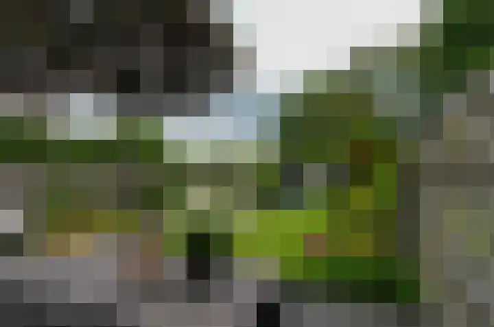 Ekkelwal 1 Assen thumbnail 33