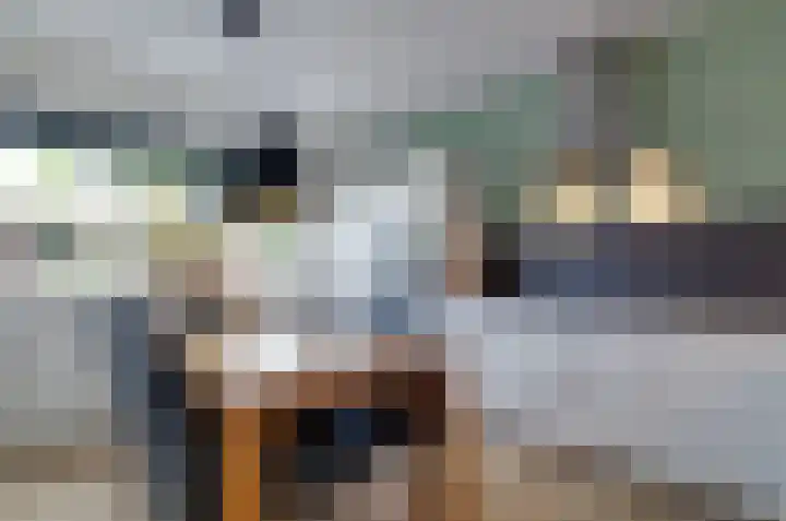 Ekkelwal 1 Assen thumbnail 7