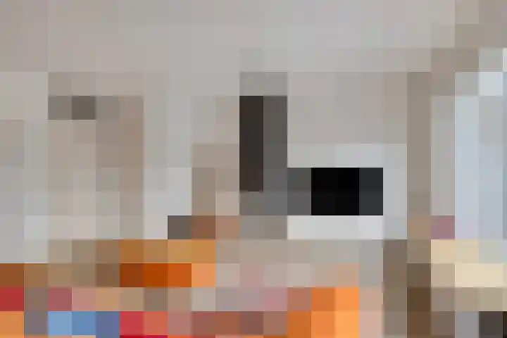 Ekkelwal 24 Assen thumbnail 12