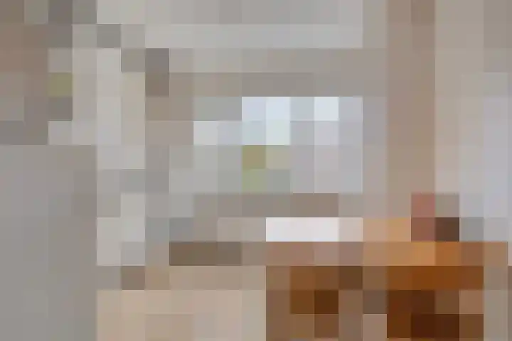 Ekkelwal 24 Assen thumbnail 13