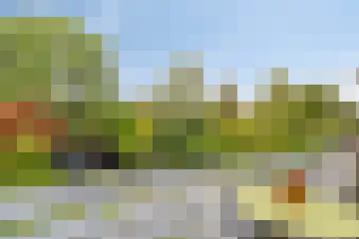 Ekkelwal 24 Assen thumbnail 19