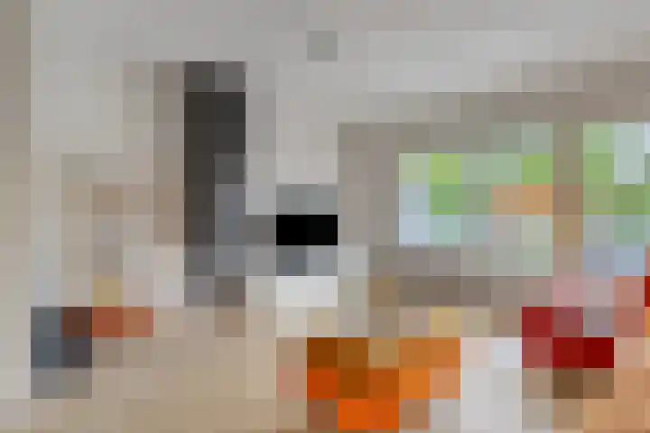 Ekkelwal 24 Assen thumbnail 6