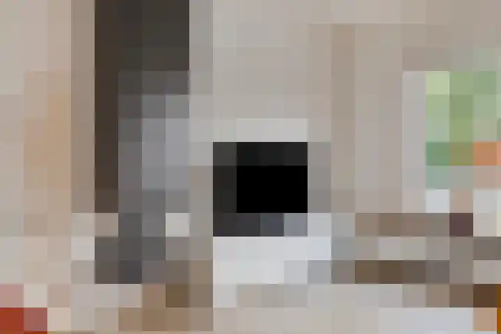 Ekkelwal 24 Assen thumbnail 7