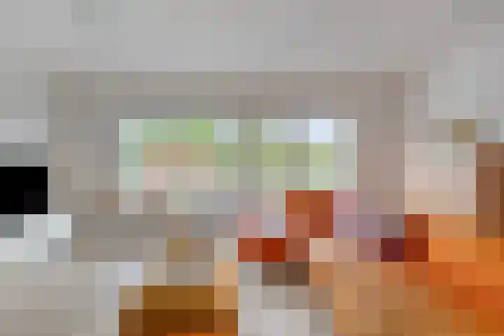 Ekkelwal 24 Assen thumbnail 8