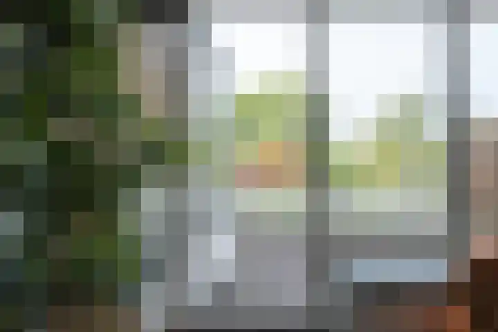 Ekkelwal 26 Assen thumbnail 10
