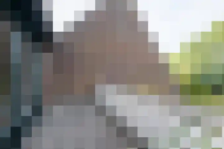 Ekkelwal 26 Assen thumbnail 11