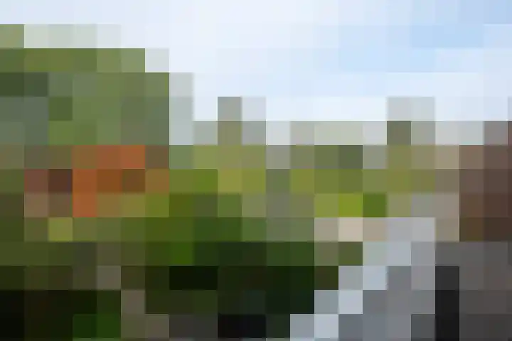Ekkelwal 26 Assen thumbnail 12