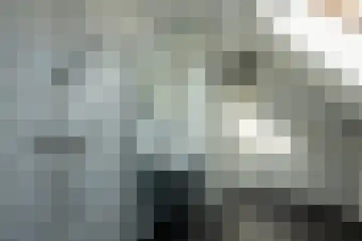 Ekkelwal 26 Assen thumbnail 21