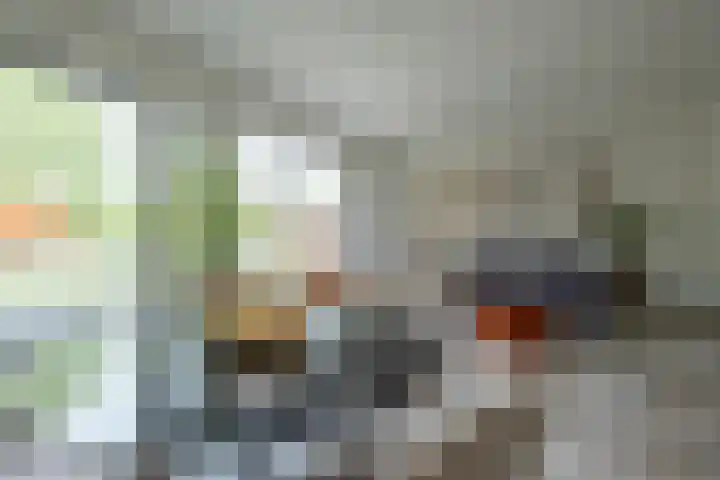 Ekkelwal 26 Assen thumbnail 7