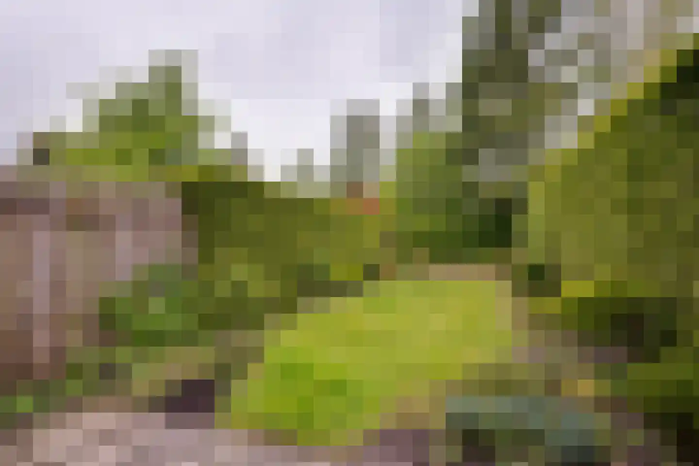 Ekkelwal 6 Assen thumbnail 22