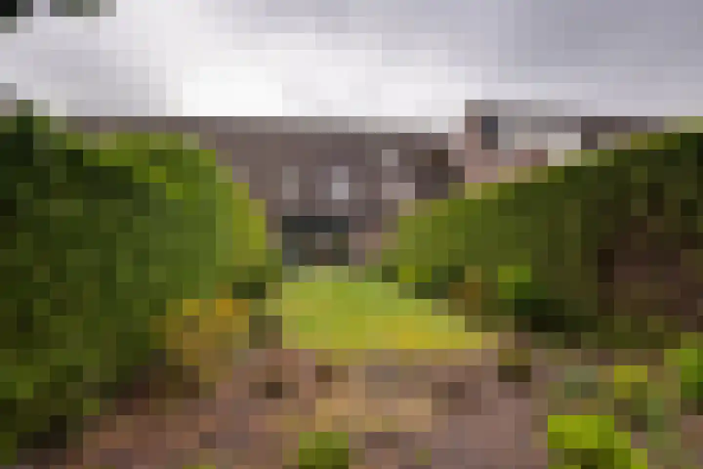 Ekkelwal 6 Assen thumbnail 23