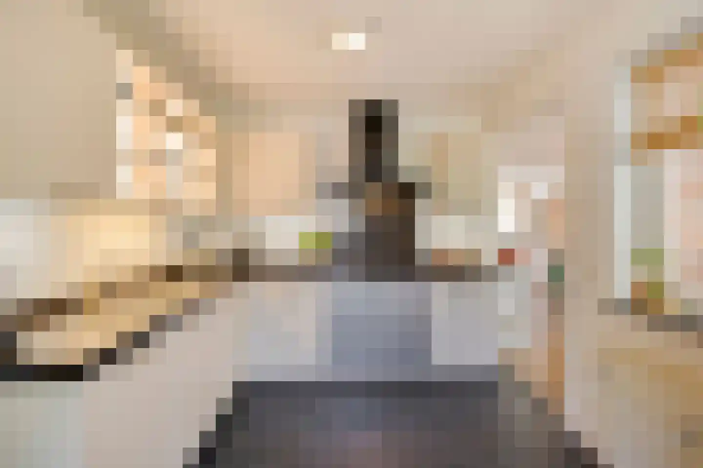 Ekker 9 Gemert thumbnail 13