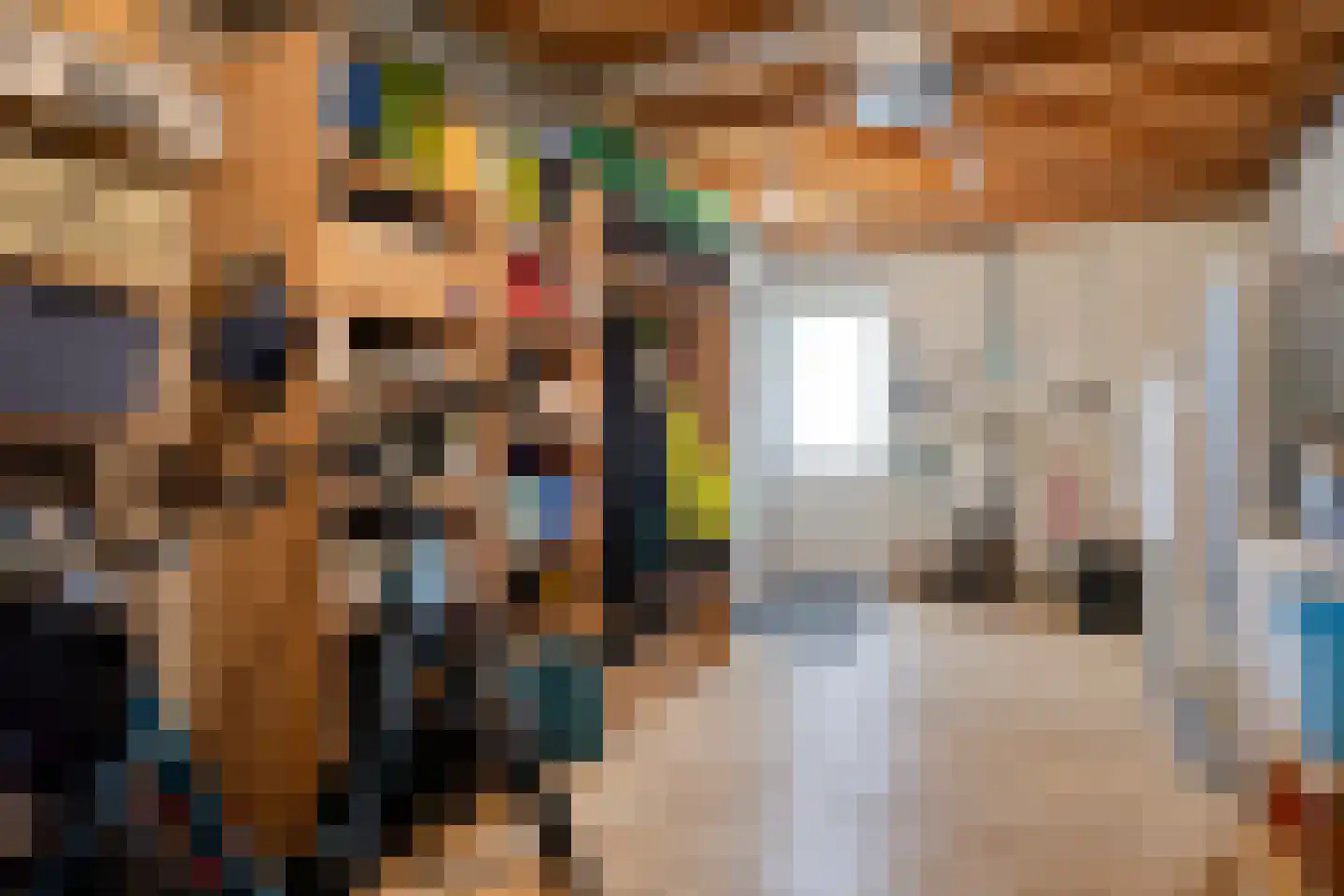 Ekker 9 Gemert thumbnail 23