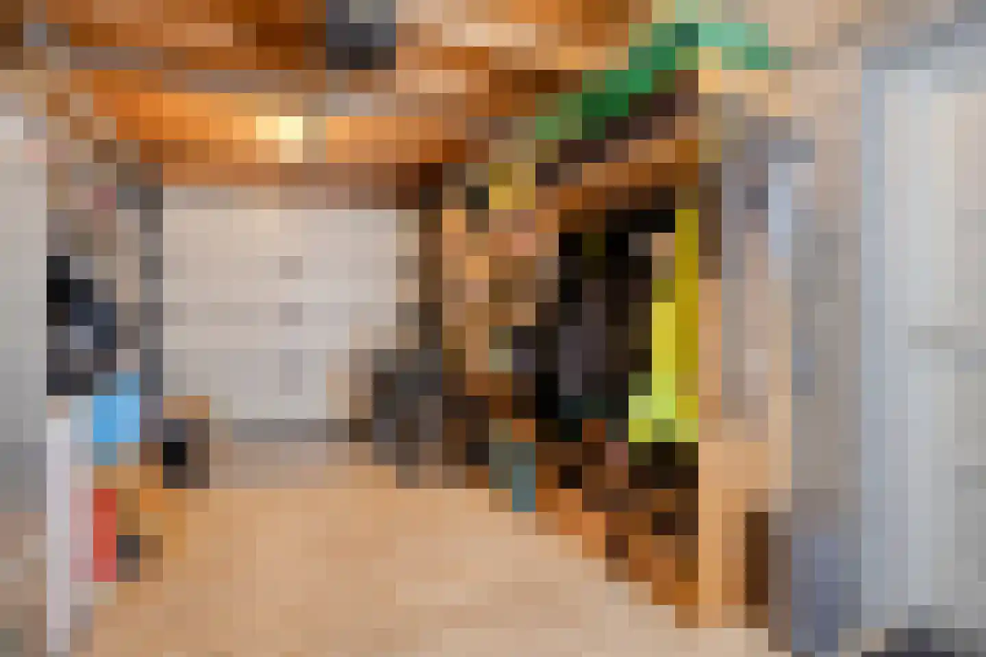 Ekker 9 Gemert thumbnail 24