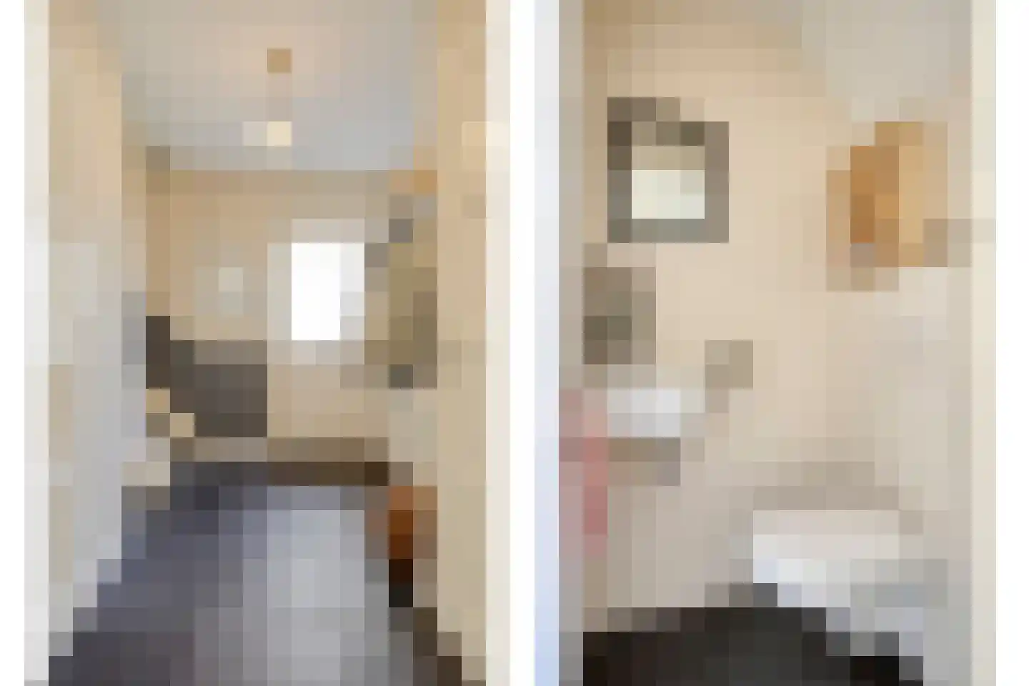Ekker 9 Gemert thumbnail 25