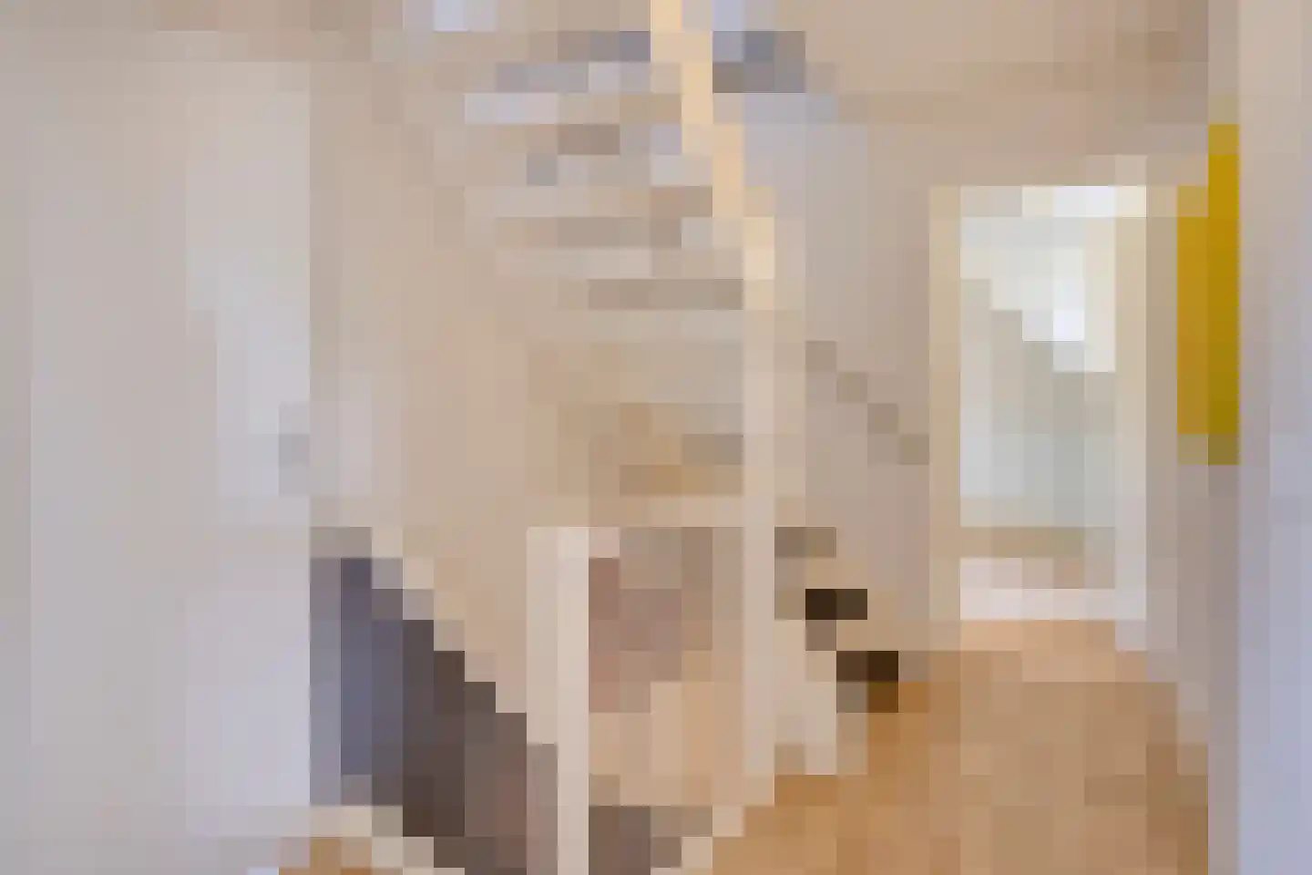 Ekker 9 Gemert thumbnail 26