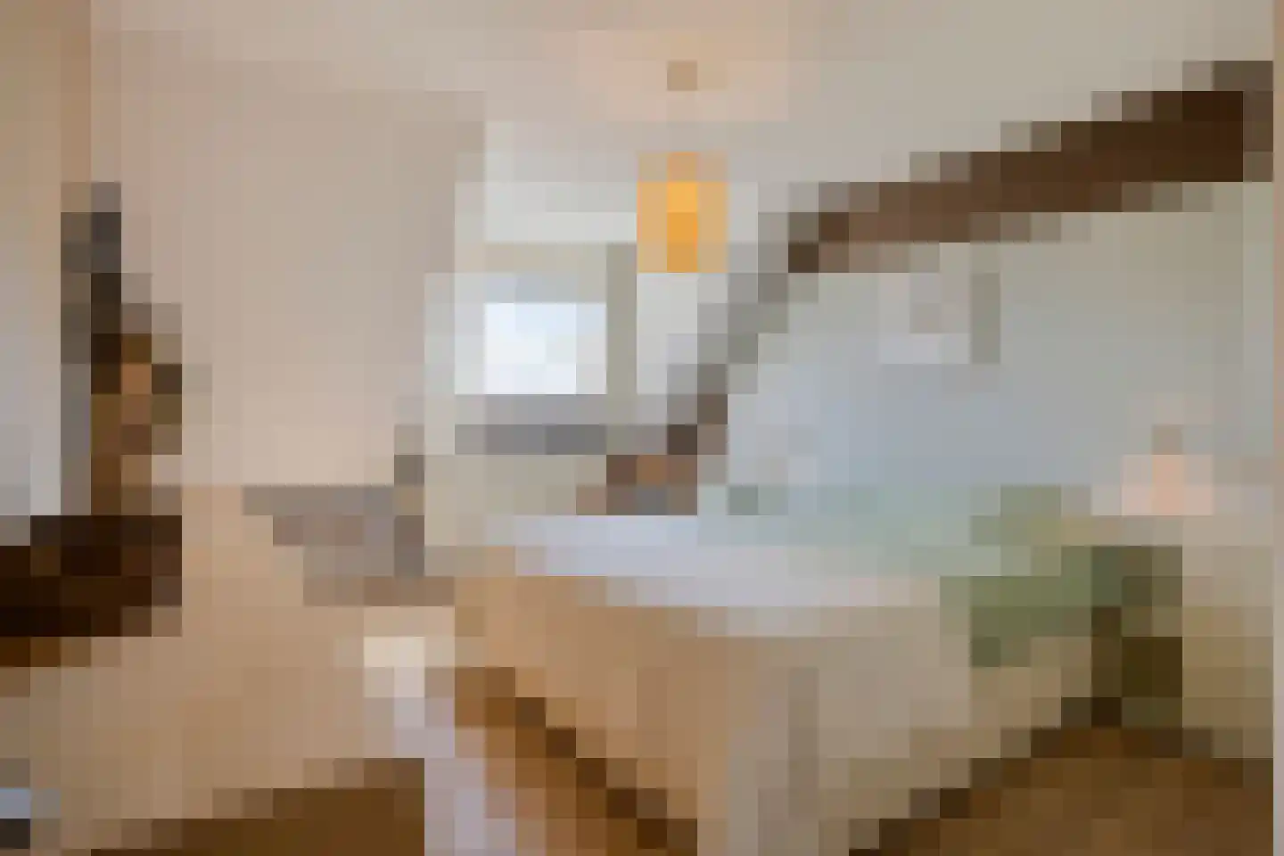 Ekker 9 Gemert thumbnail 27