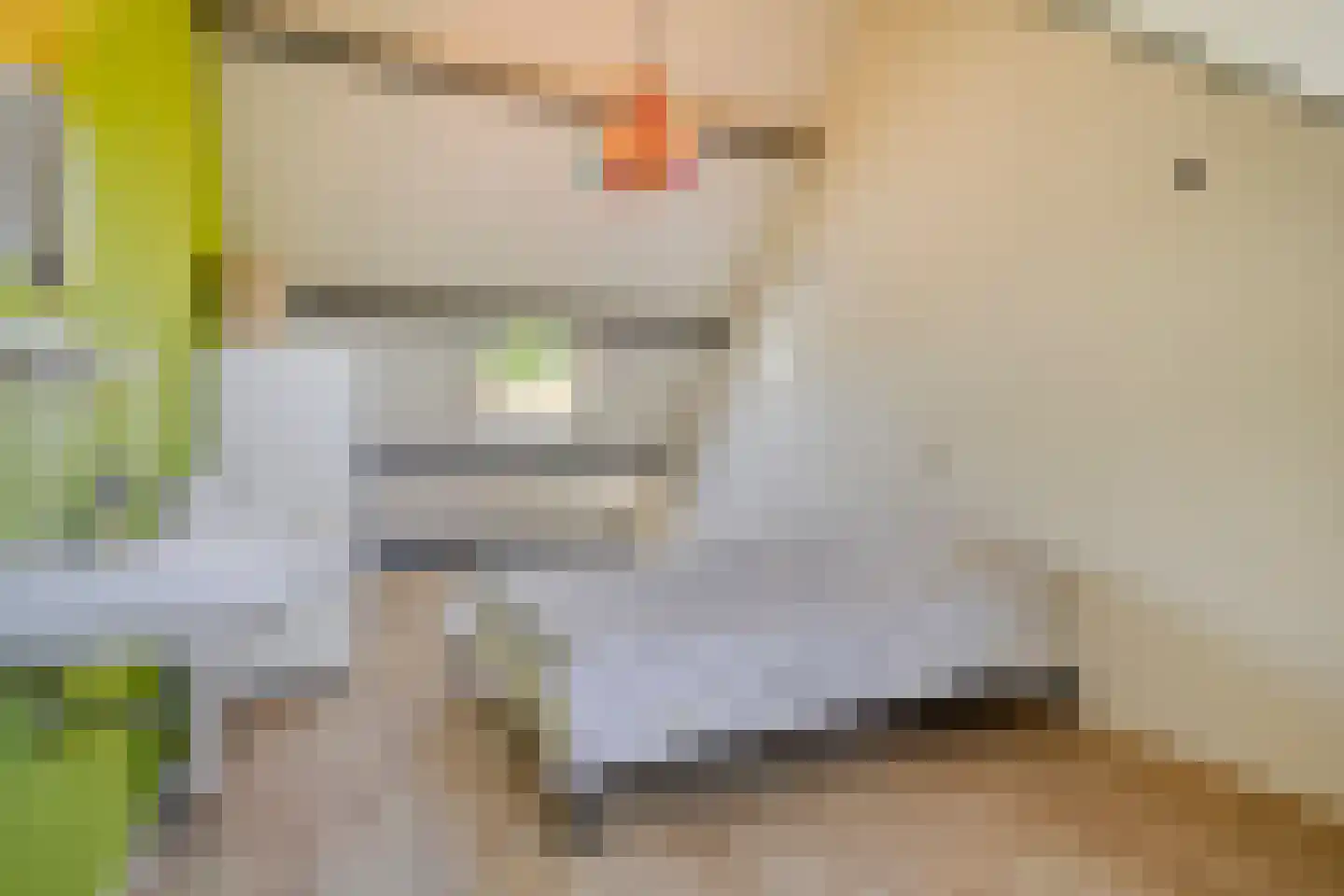 Ekker 9 Gemert thumbnail 33