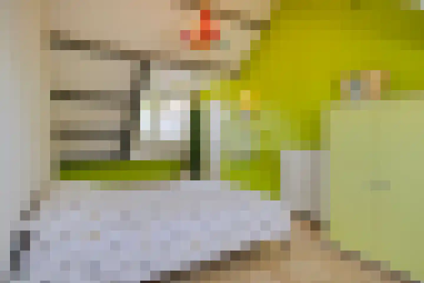 Ekker 9 Gemert thumbnail 34