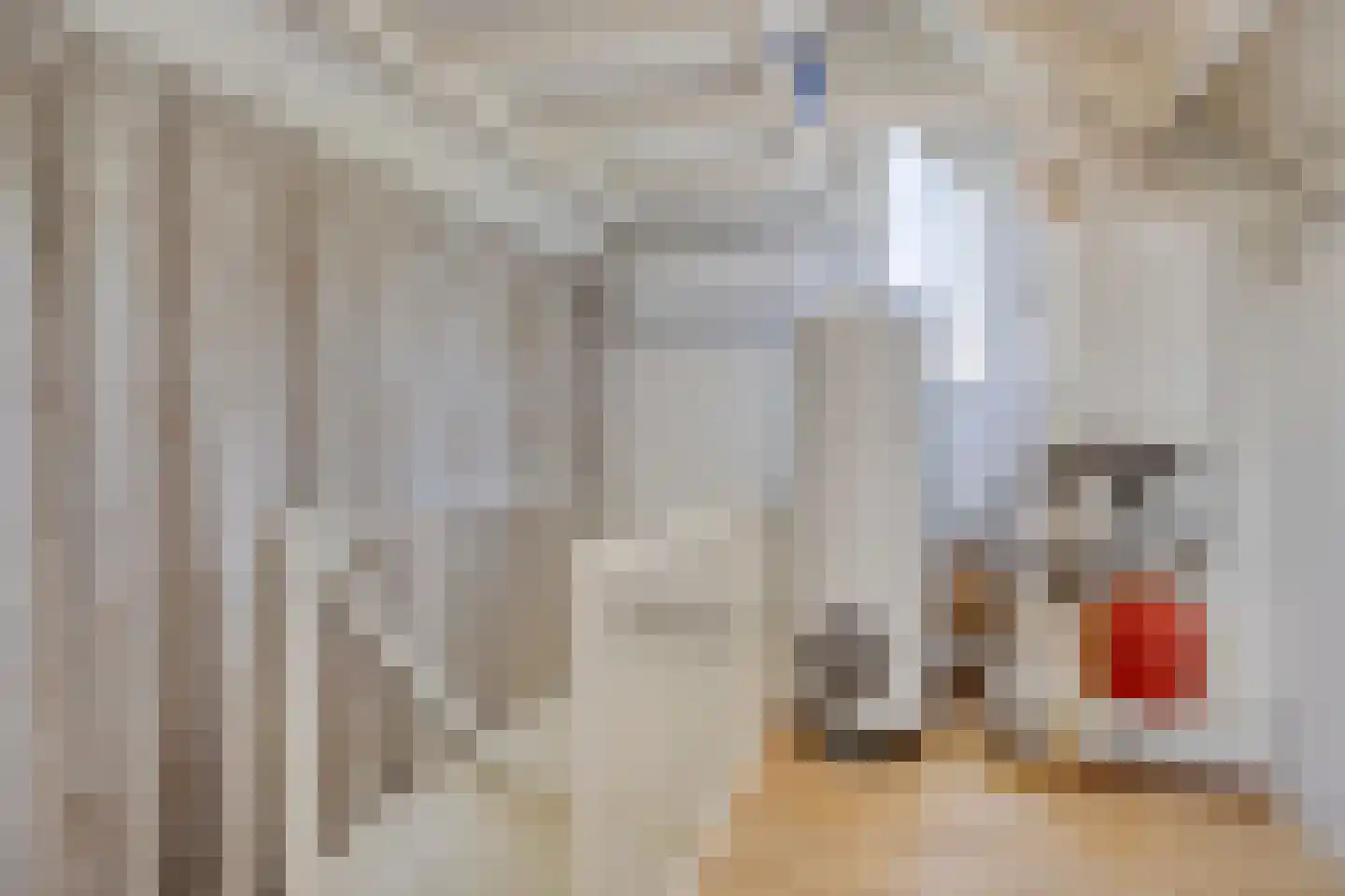 Ekker 9 Gemert thumbnail 36