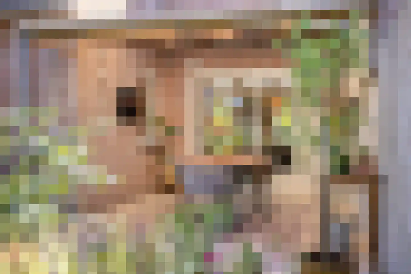 Ekker 9 Gemert thumbnail 39