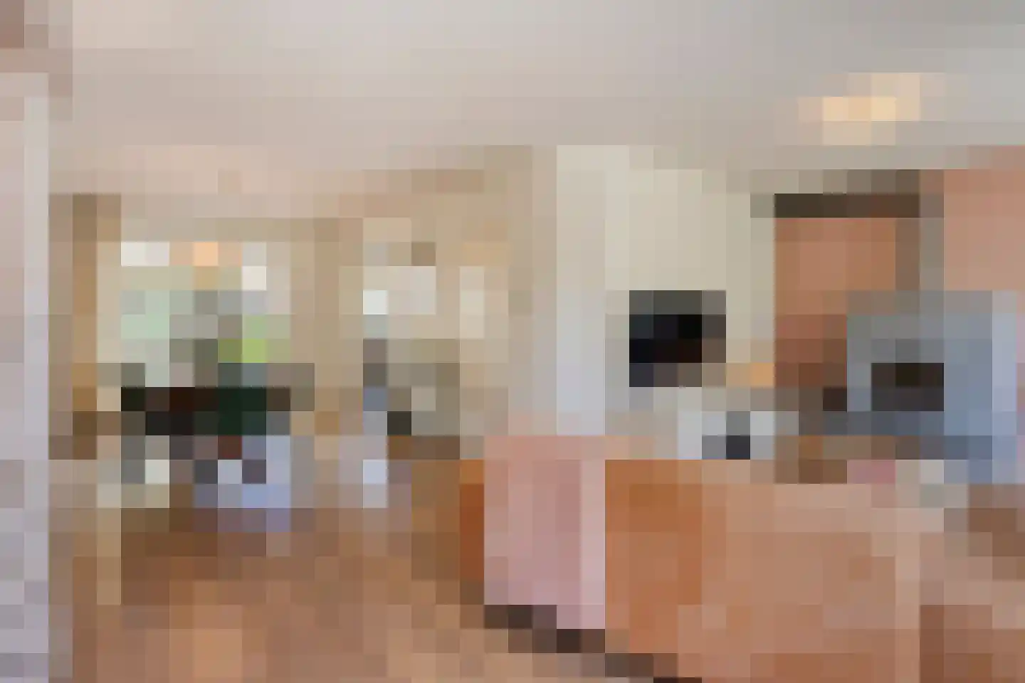 Ekker 9 Gemert thumbnail 4