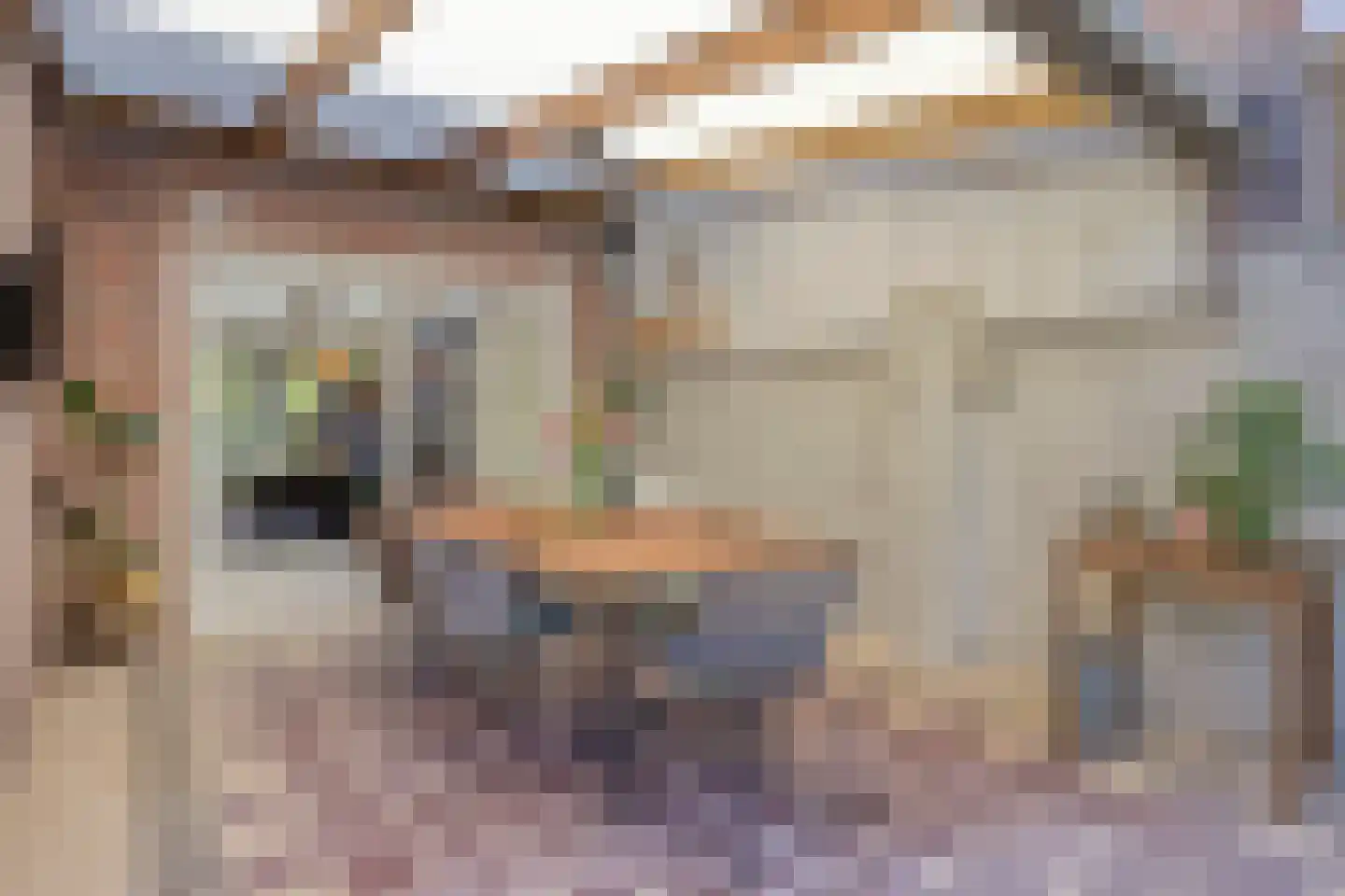 Ekker 9 Gemert thumbnail 41