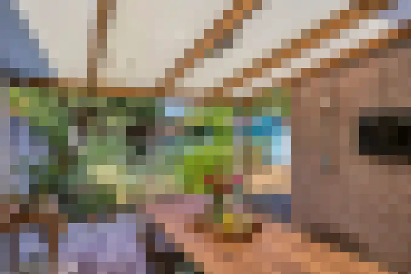 Ekker 9 Gemert thumbnail 42