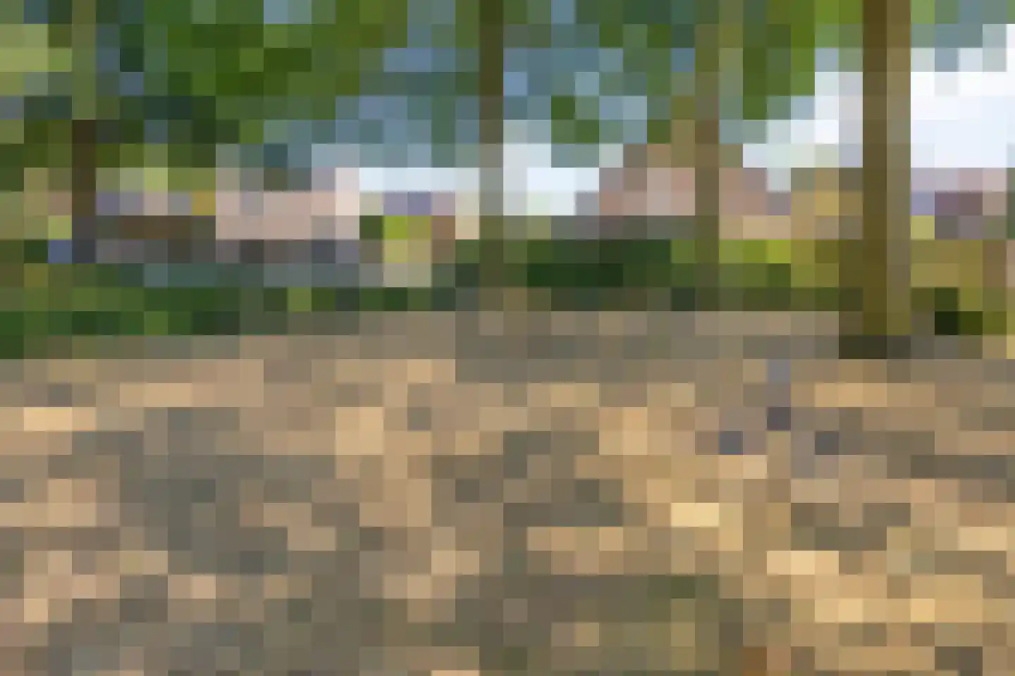Ekker 9 Gemert thumbnail 50