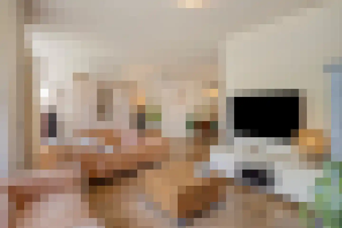 Ekker 9 Gemert thumbnail 6